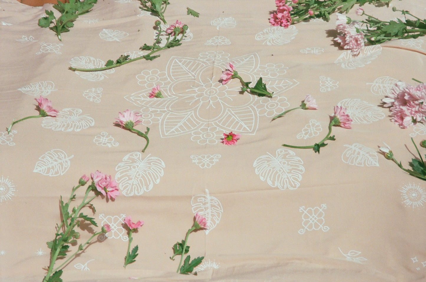 NATURE'S BLUSH