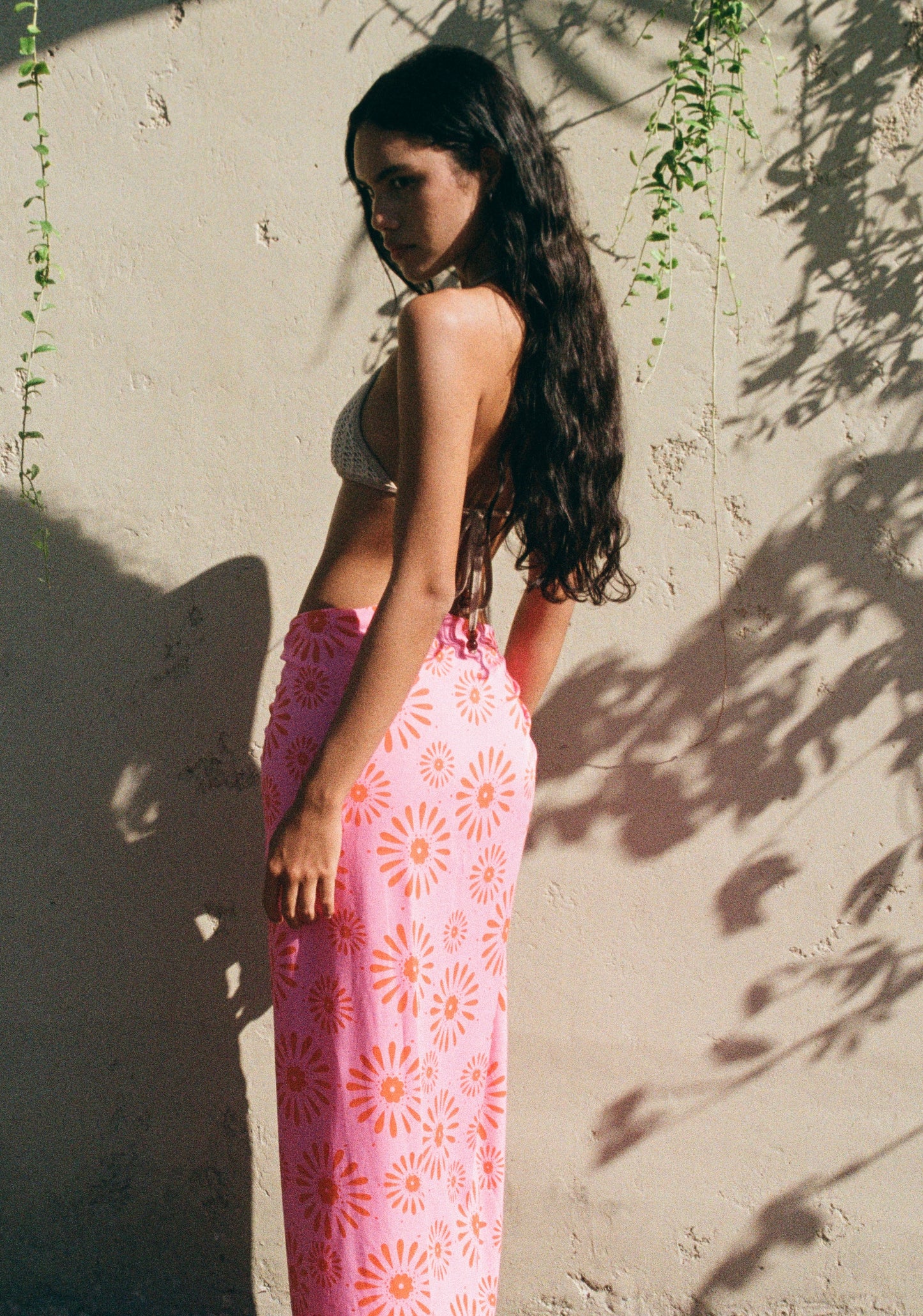 Mirasol Lila